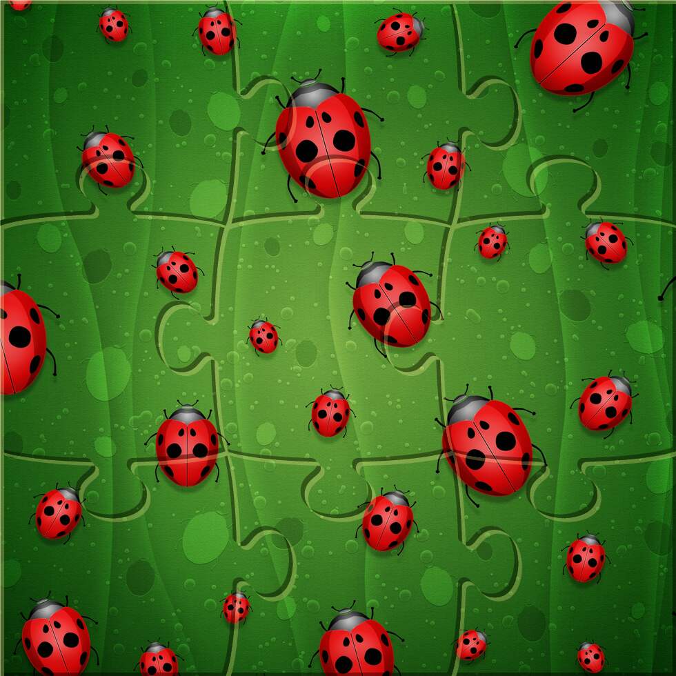 All is Full of Ladybugs: preview