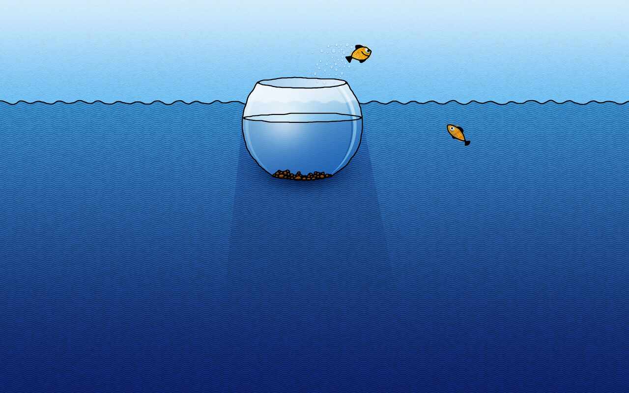 Aquarium 2: preview
