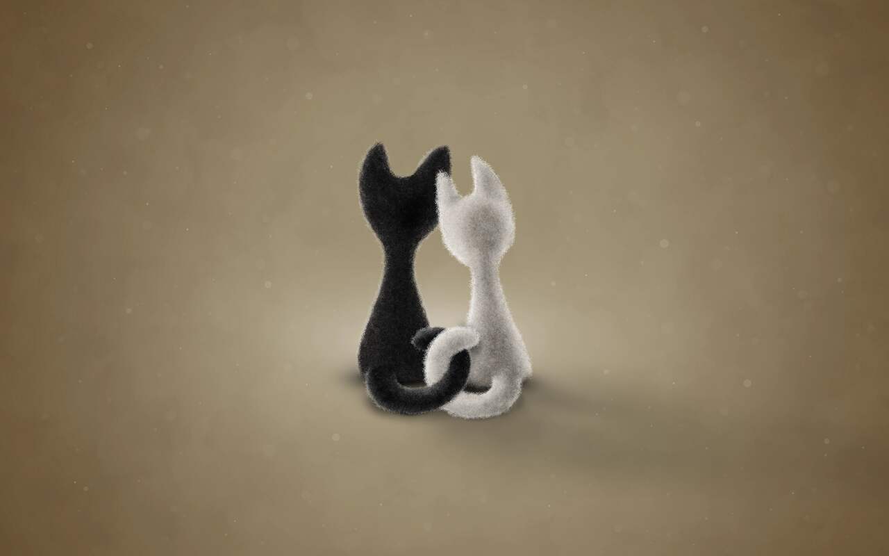 Black Cat White Cat (Color 3): preview