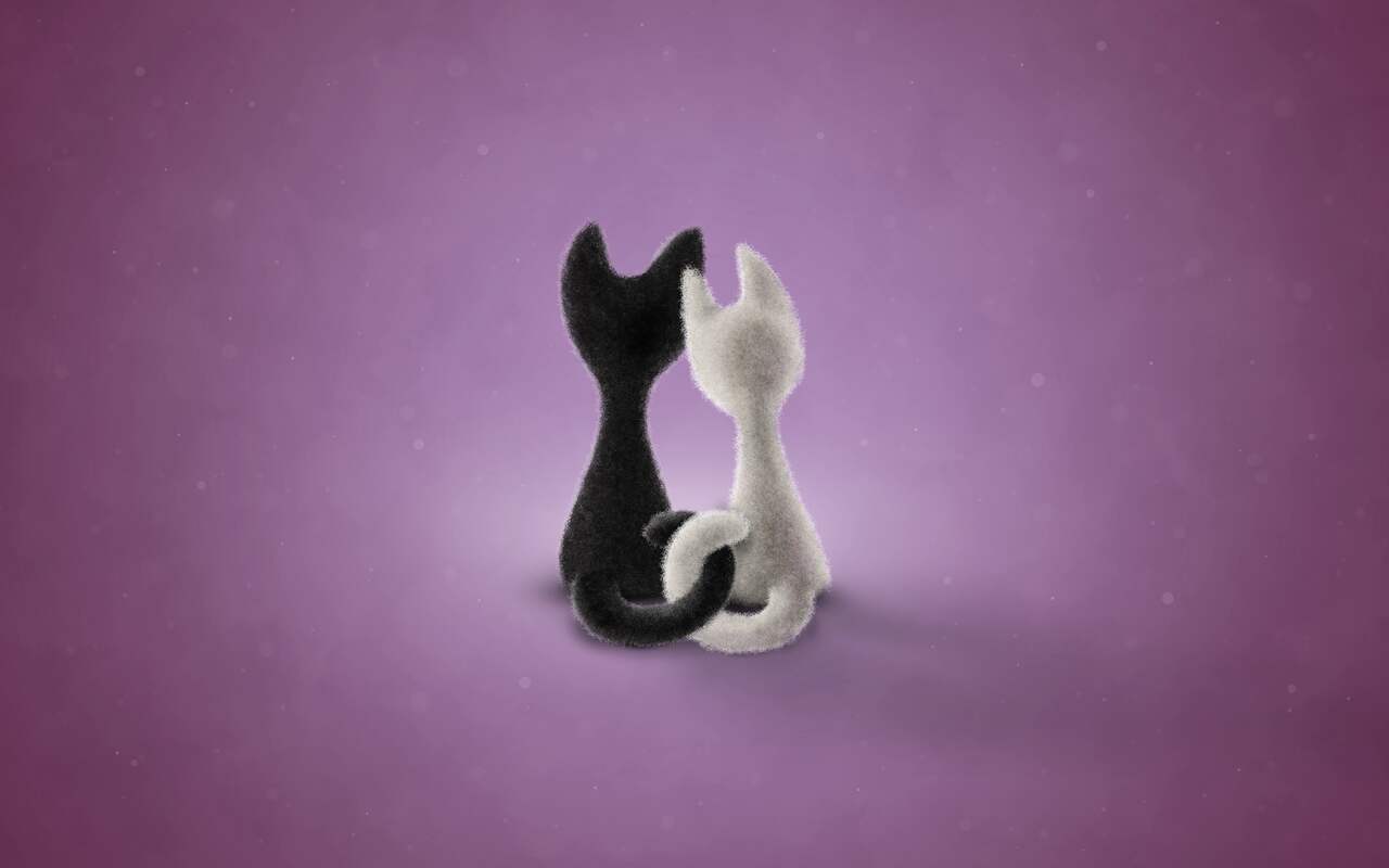 Black Cat White Cat (Color 4): preview