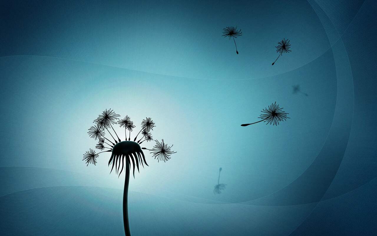 Dandelion: preview