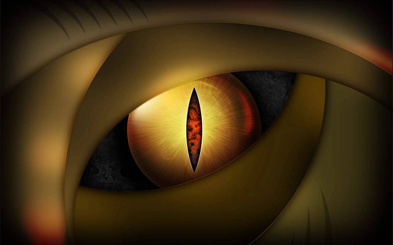 Eye See You: preview