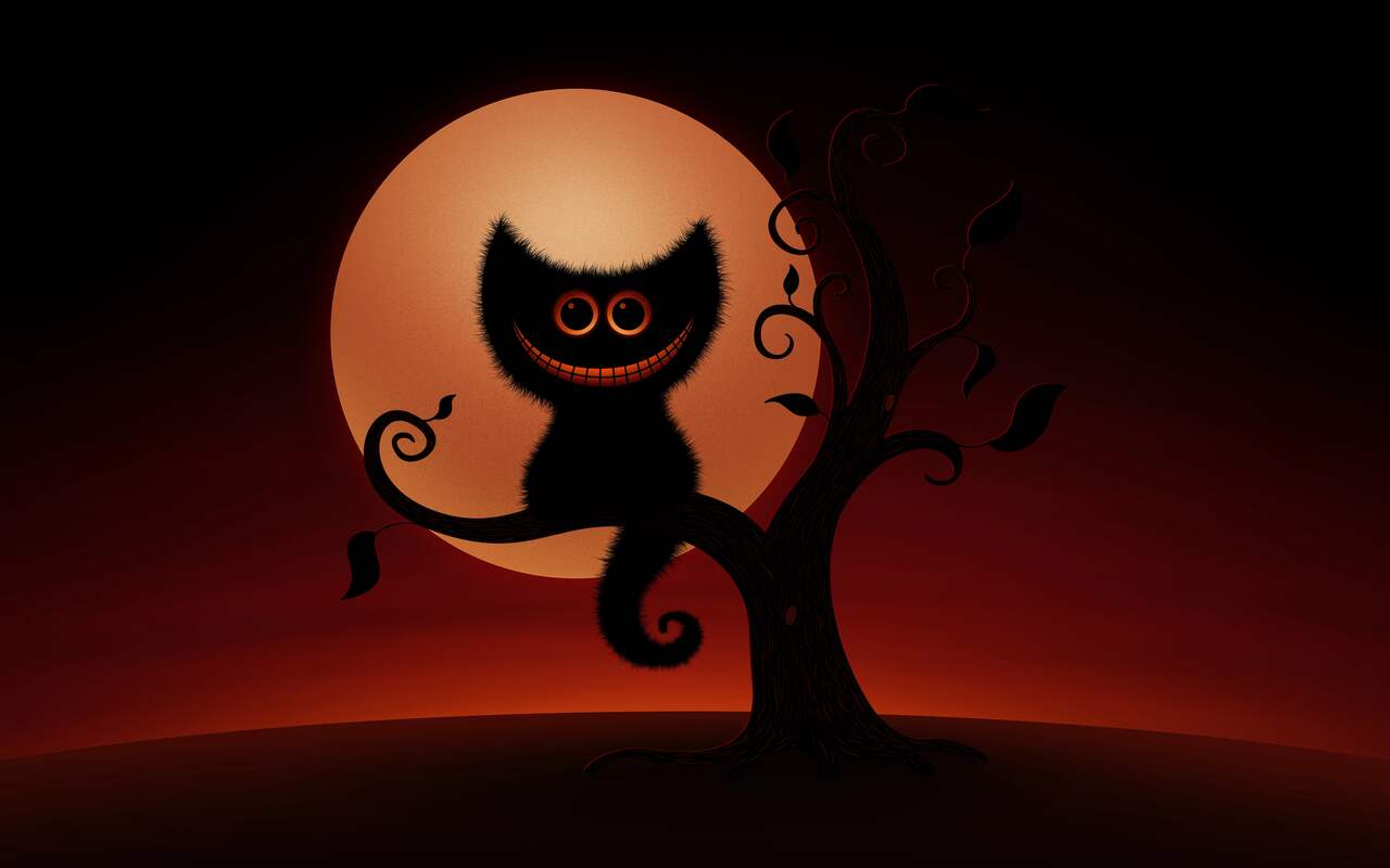 HD wallpaper Halloween Cats Bats black cat creative and graphics   Wallpaper Flare