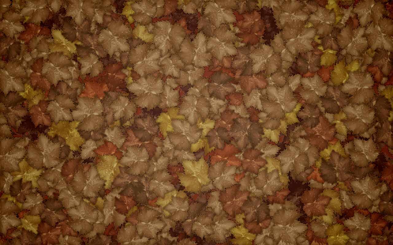 Autumn leaves: preview