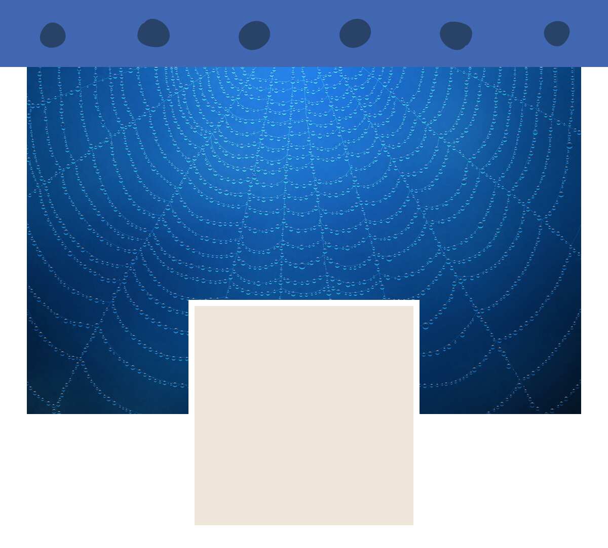 Water drops on  a spider web (Blue): preview